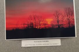 Podsumowanie Międzyszkolnego Konkursu Fotograficznego