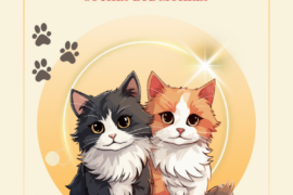 ZBIÓRKA – Karmy dla Kotów